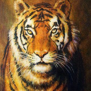 Meet your Posher, Jesse